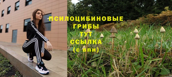 мет Алексеевка