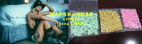 прущие грибы Алзамай