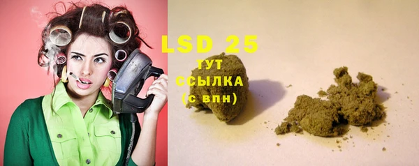 прущие грибы Алзамай